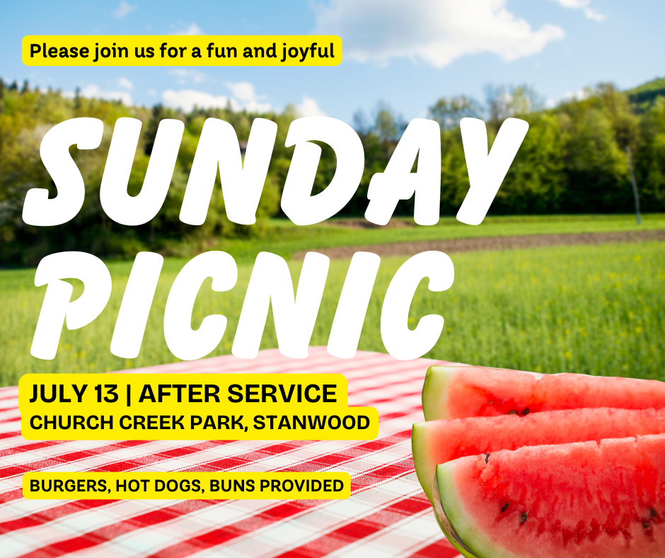 Sunday picnic